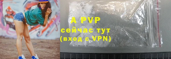 ГАЛЛЮЦИНОГЕННЫЕ ГРИБЫ Нея