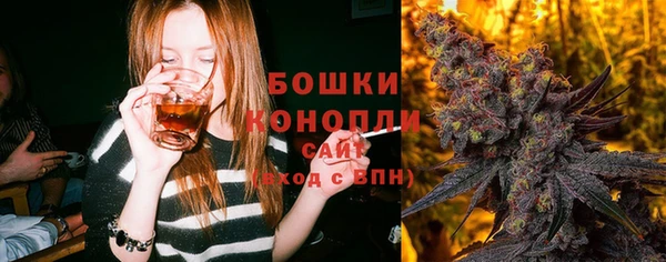 ГАЛЛЮЦИНОГЕННЫЕ ГРИБЫ Нея