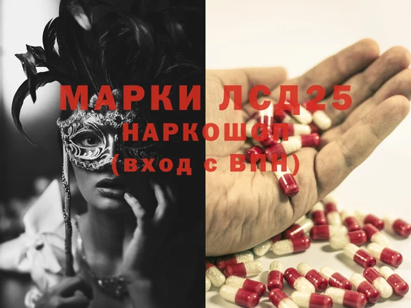 ГАЛЛЮЦИНОГЕННЫЕ ГРИБЫ Нея