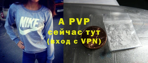 твердый Надым