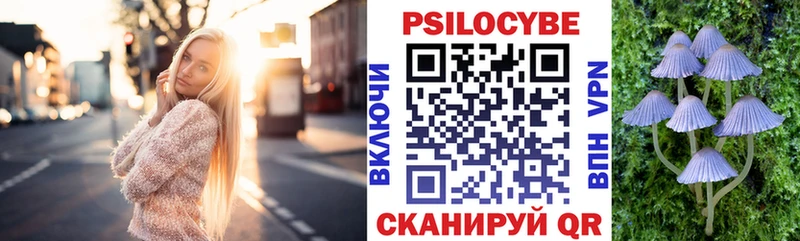 купить наркотики цена  OMG tor  Галлюциногенные грибы Psilocybe  Гурьевск 
