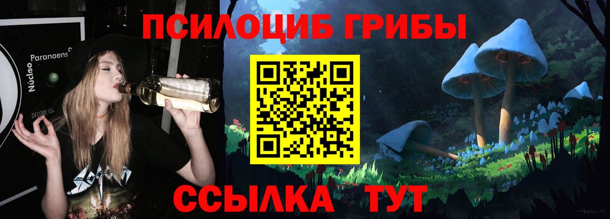 Гурьевск  Псилоцибиновые грибы мицелий  Вход с VPN 