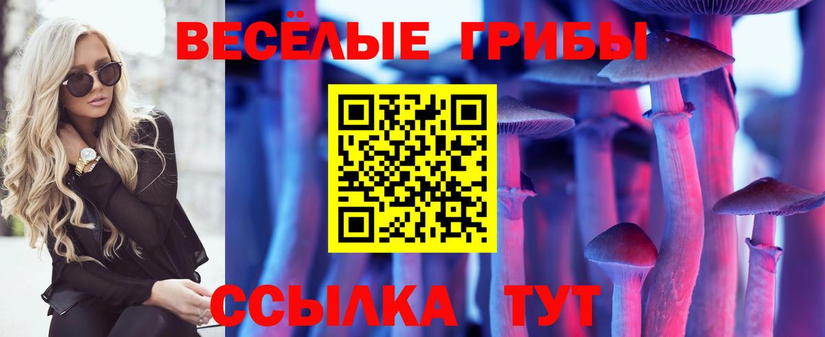 Галлюциногенные грибы Psilocybine cubensis Гурьевск