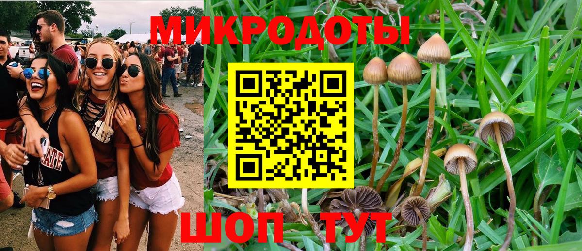 Псилоцибиновые грибы Magic Shrooms  Галлюциногенные грибы MAGIC MUSHROOMS  Гурьевск 
