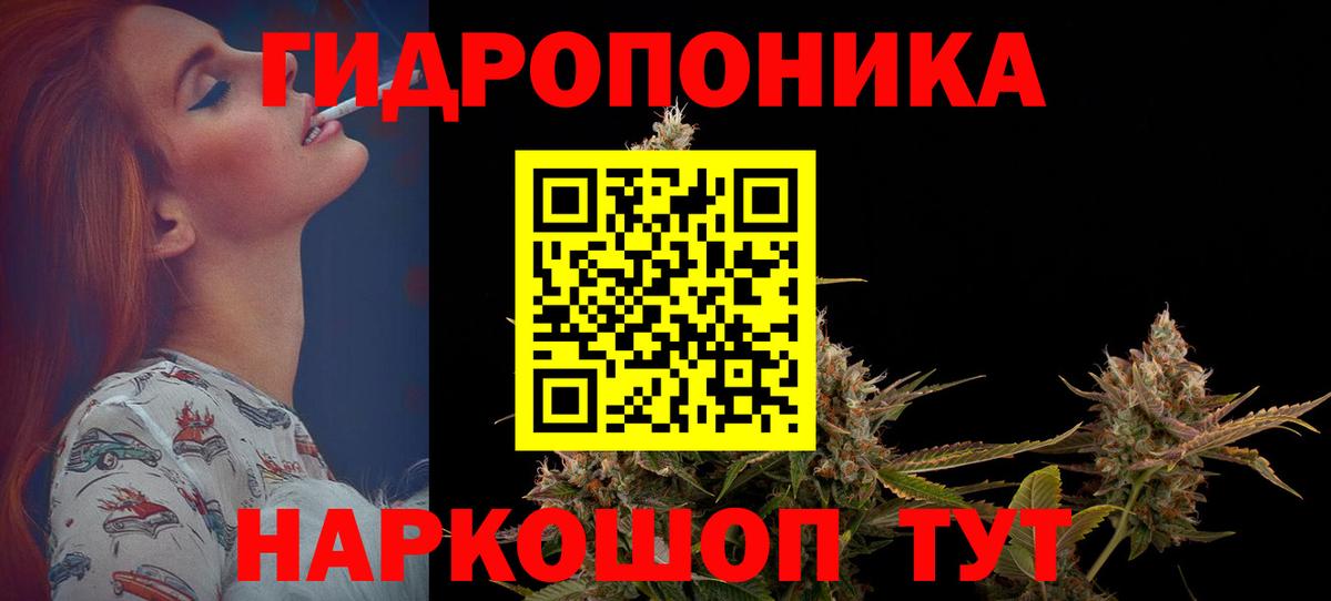 МАРИХУАНА конопля Гурьевск